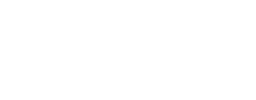 Securus logo